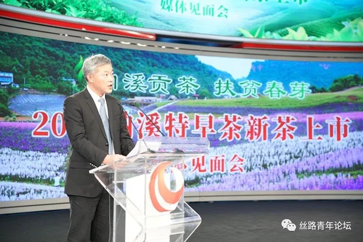 纳溪贡茶3.jpg