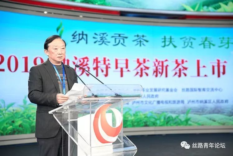 纳溪贡茶5.jpg