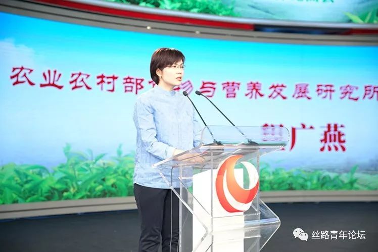 纳溪贡茶6.jpg