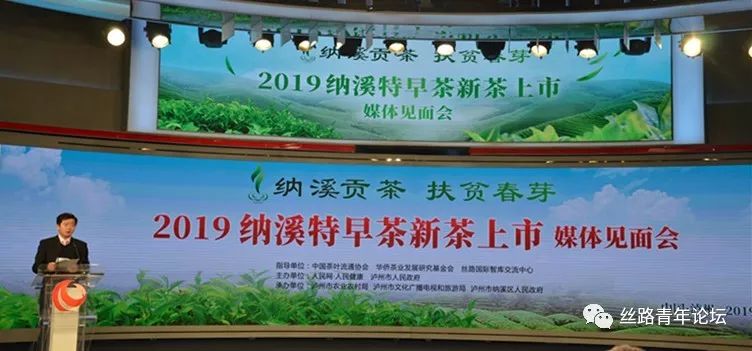 纳溪贡茶1.jpg