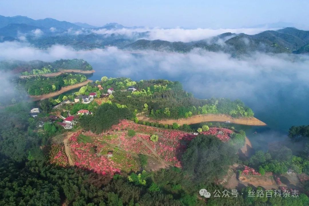 安吉余村风景.jpg